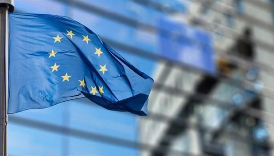 Ønsker tydliggjøring av radiografrollen i EU-direktiv