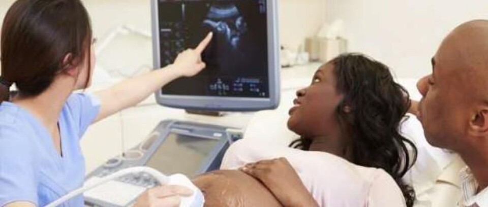 Review of the sonography workforce