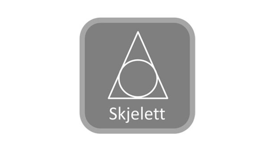Skjelettundersøkelser