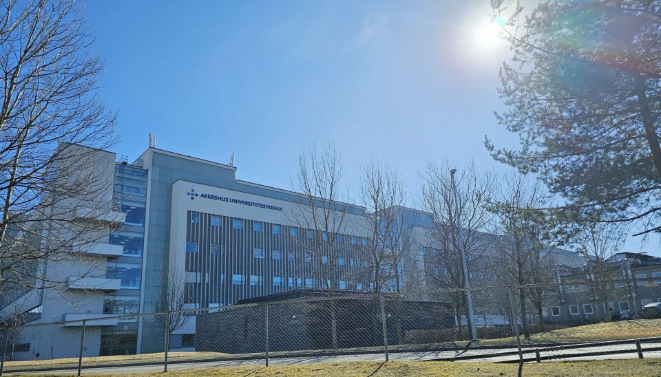 Foto: Elisabeth Norridge