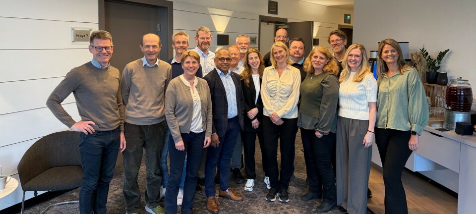 Workshop om overforbruk av bildediagnostikk