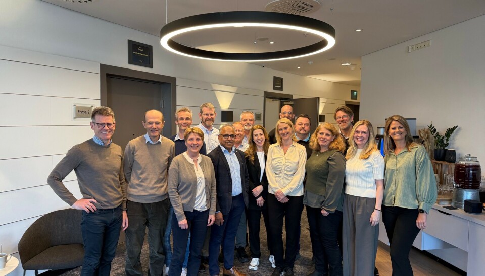 Workshop om overforbruk av bildediagnostikk