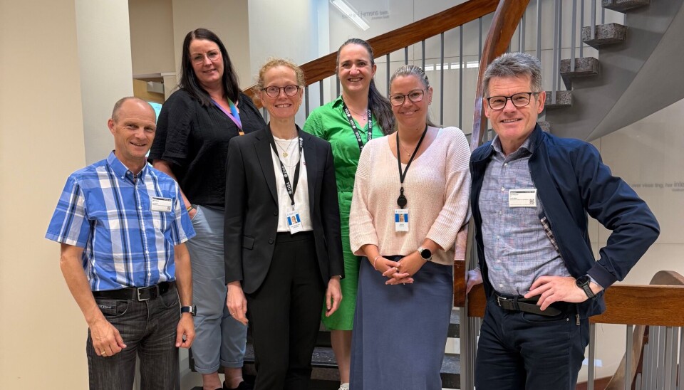 Fra venstre: Håkon Hjemly, Kristin Aase, , Ida Wendelbo Ormberg, Trude Dahl Jørgensen, Sarah Wethal, Bent Ronny Mikalsen.