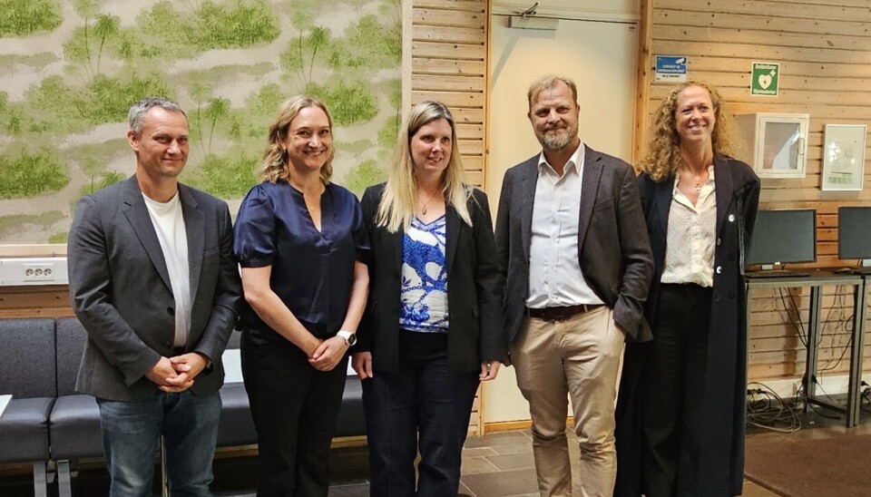 Fv. Andreopponent, førsteamanuensis Michael Brun Andersen, Herlev og Gentofte hospital, Danmark, Cathrine Helgestad Kristiansen, førsteopponent, førsteamanuensis Helle Precht, universitetssykehusene i Sør-Danmark og Syddansk universitet, leder av komiteen, førsteamanuensis Kjetil Gundro Brurberg, OsloMet, og disputasleder instituttleder Elin Holter Anthonisen, OsloMet .